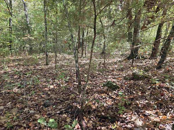 0.28 Acres of Residential Land for Sale in Horseshoe Bend, Arkansas