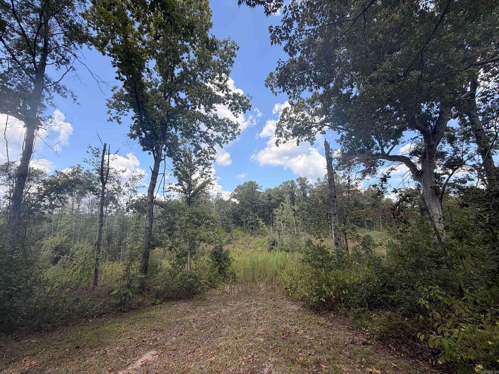 33 Acres of Recreational Land for Sale in Buckner, Arkansas