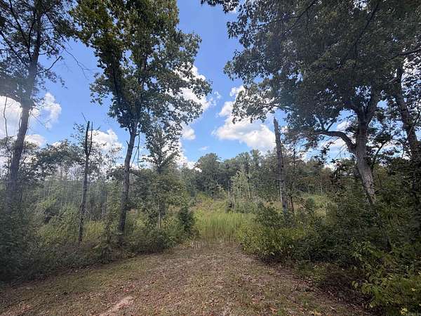 33 Acres of Recreational Land for Sale in Buckner, Arkansas