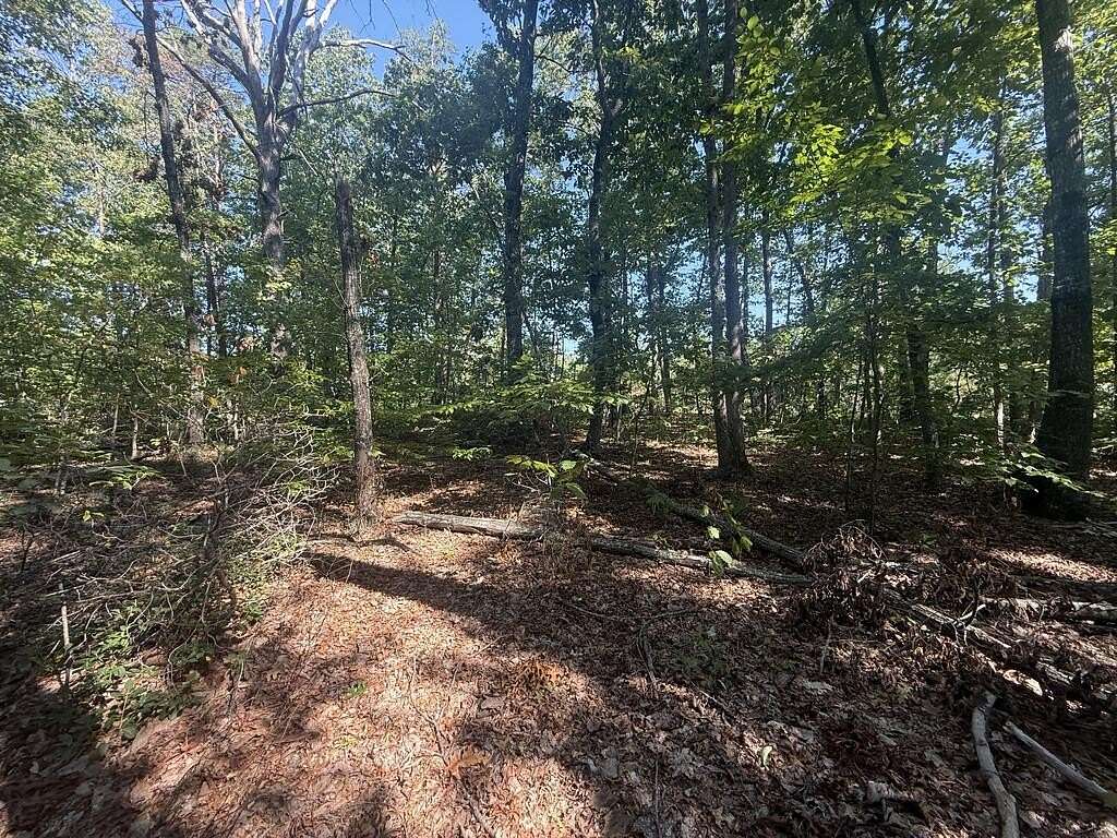2.56 Acres of Land for Sale in Buckingham, Virginia