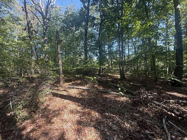 2.56 Acres of Land for Sale in Buckingham, Virginia