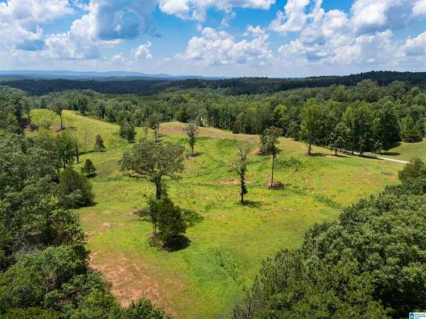8.19 Acres of Land for Sale in Wedowee, Alabama