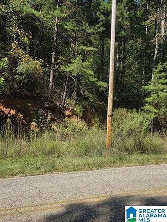 3.8 Acres of Land for Sale in Wedowee, Alabama