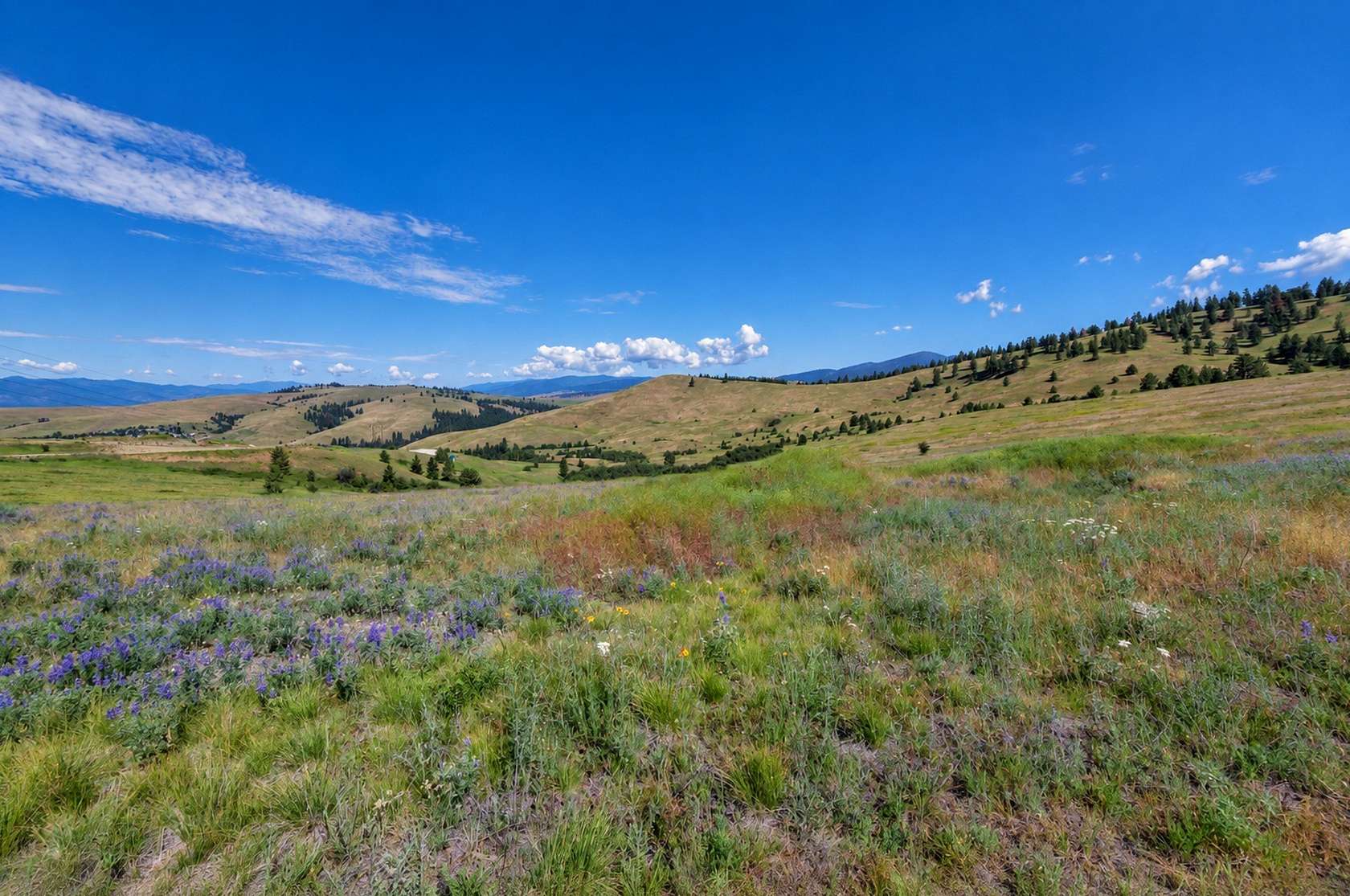 33 Acres of Recreational & Residential Land for Sale in Missoula, Montana