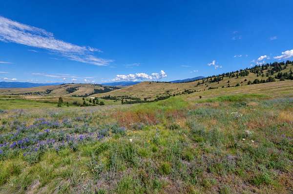 33 Acres of Recreational & Residential Land for Sale in Missoula, Montana