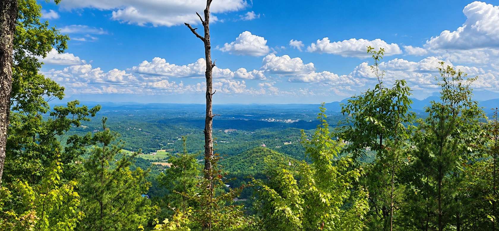 20 Acres of Recreational & Residential Land for Sale in Sevierville, Tennessee