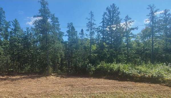 149 Acres of Recreational Land for Sale in Chicog Town, Wisconsin
