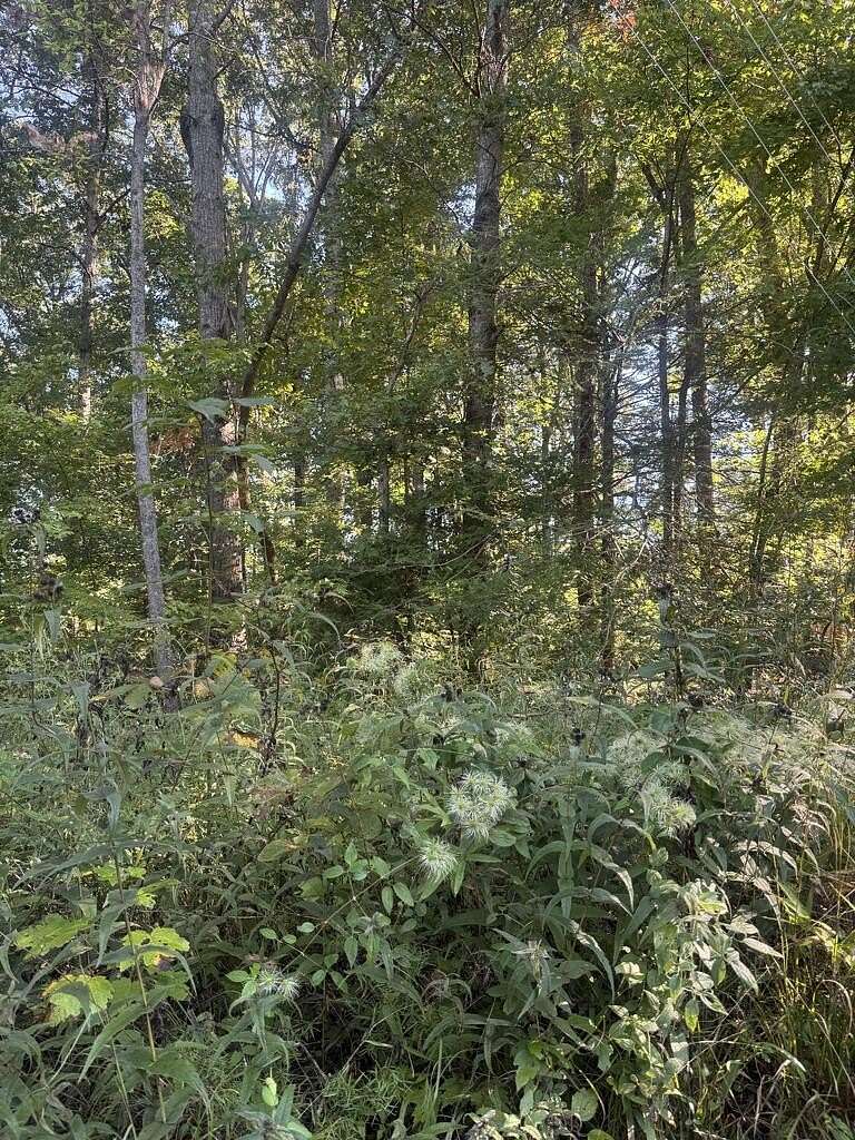 0.4 Acres of Land for Sale in Ellijay, Georgia