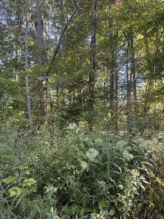 0.4 Acres of Land for Sale in Ellijay, Georgia