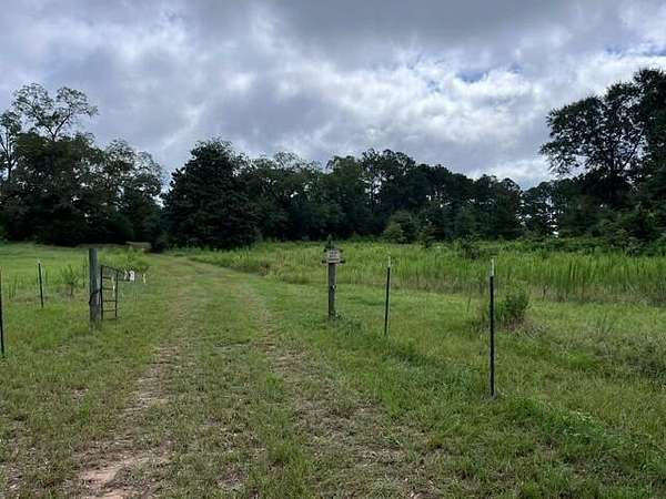150 Acres of Recreational Land for Sale in Clayton, Alabama