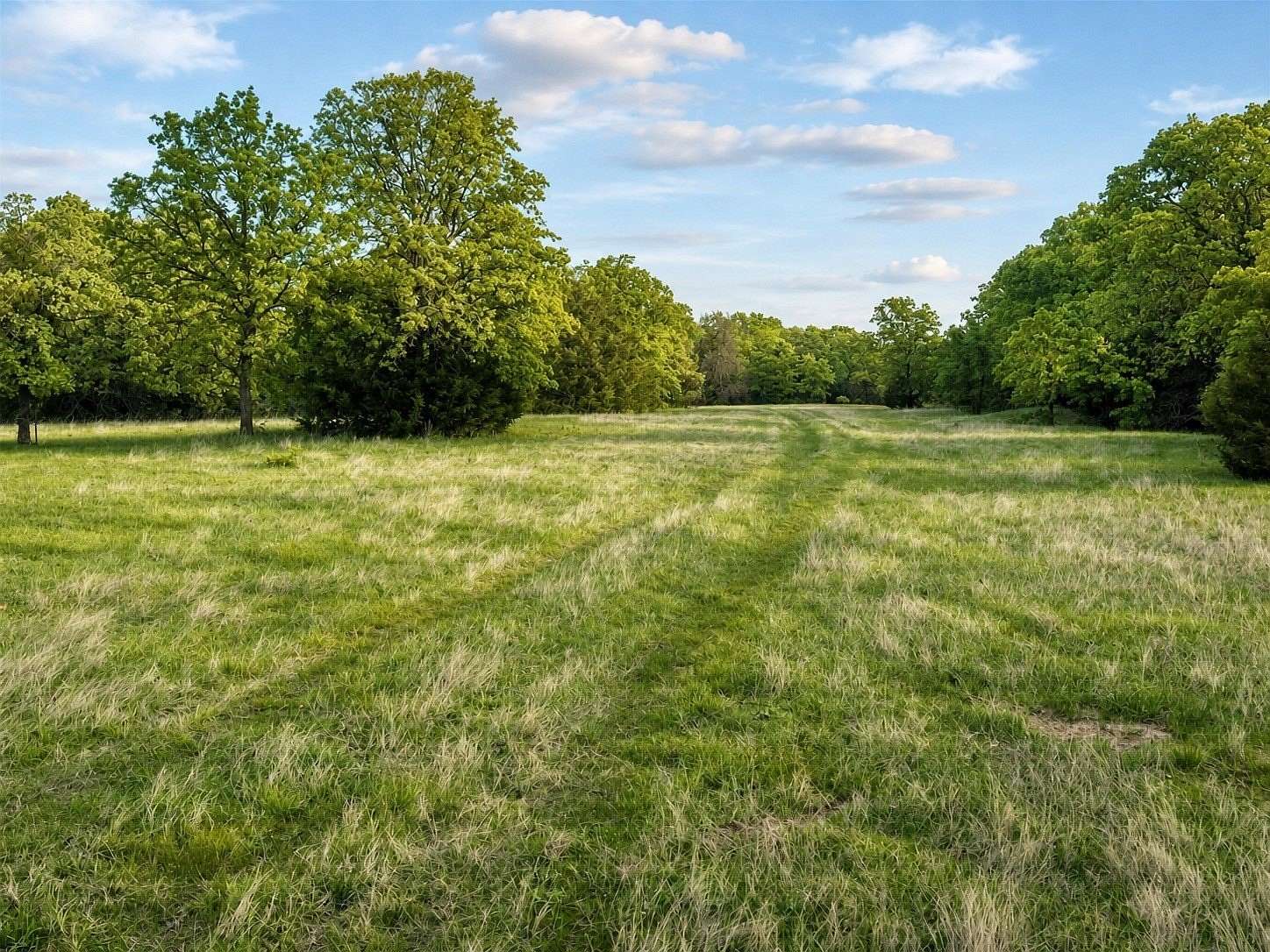 13.9 Acres of Agricultural Land for Sale in Sunset, Texas