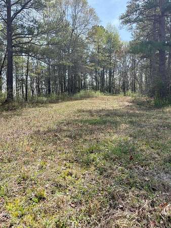 1 Acre of Land for Sale in Double Springs, Alabama