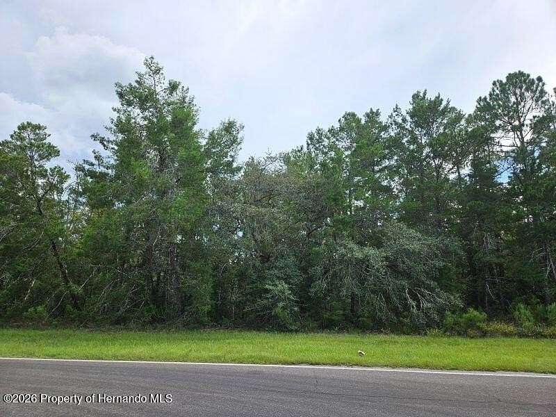 0.34 Acres of Residential Land for Sale in Homosassa, Florida