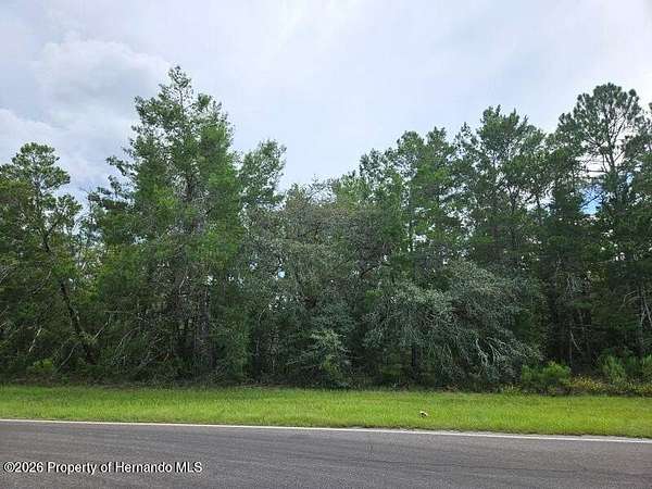 0.34 Acres of Residential Land for Sale in Homosassa, Florida