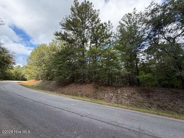 20.5 Acres of Recreational & Residential Land for Sale in Hephzibah, Georgia