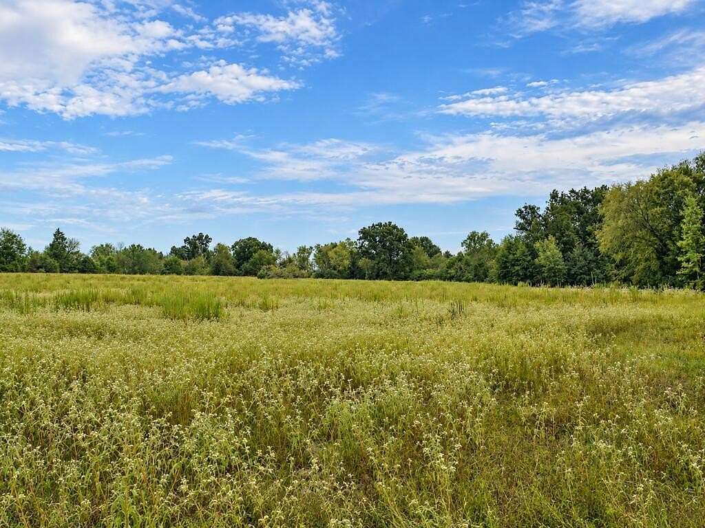 73.7 Acres of Recreational & Residential Land for Sale in Palestine, Texas