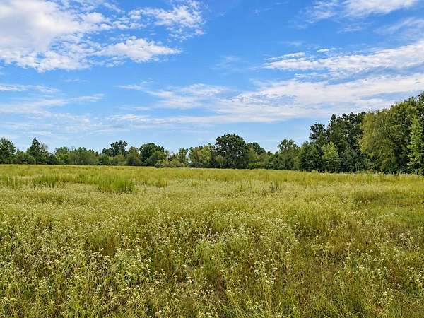 73.7 Acres of Recreational & Residential Land for Sale in Palestine, Texas