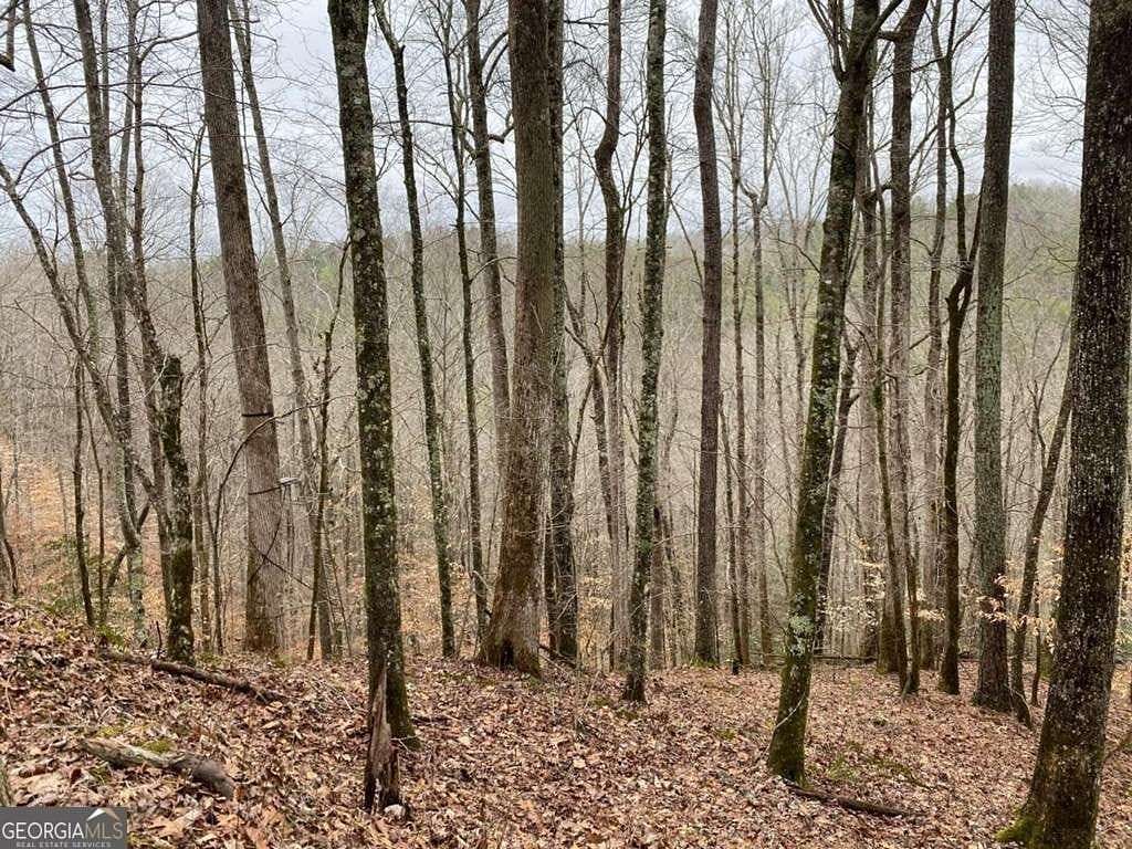 4 Acres of Land for Sale in Ellijay, Georgia