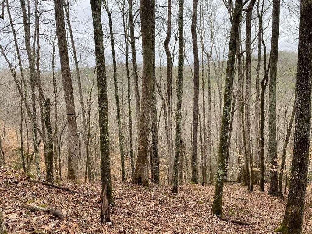 4 Acres of Land for Sale in Ellijay, Georgia