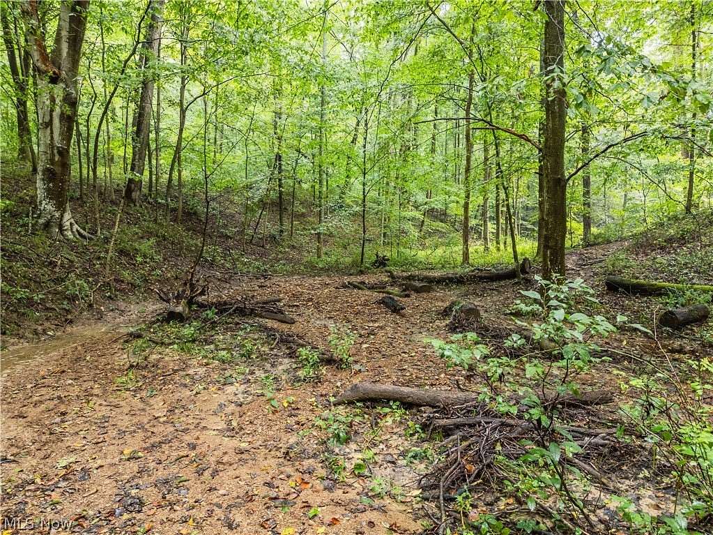 41.1 Acres of Recreational Land for Sale in Dresden, Ohio