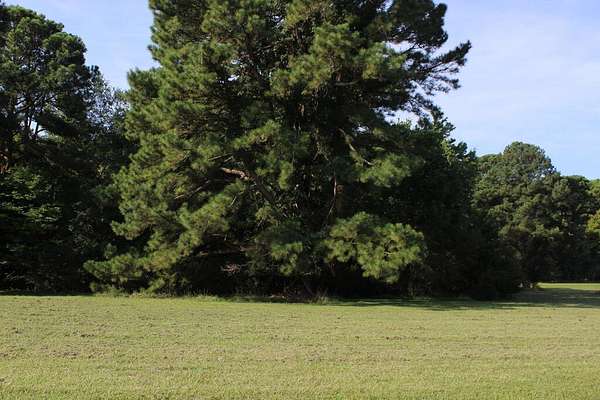 0.22 Acres of Residential Land for Sale in Greenbackville, Virginia