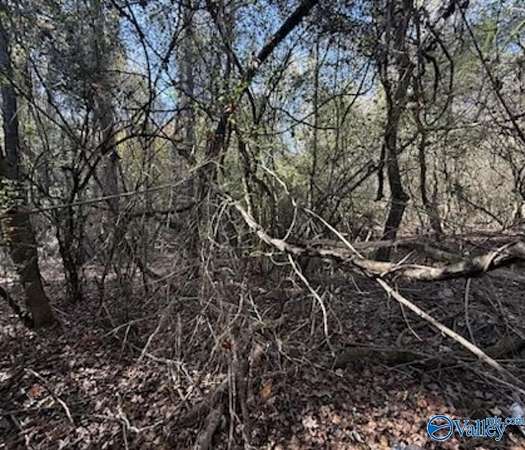 0.3 Acres of Land for Sale in Athens, Alabama