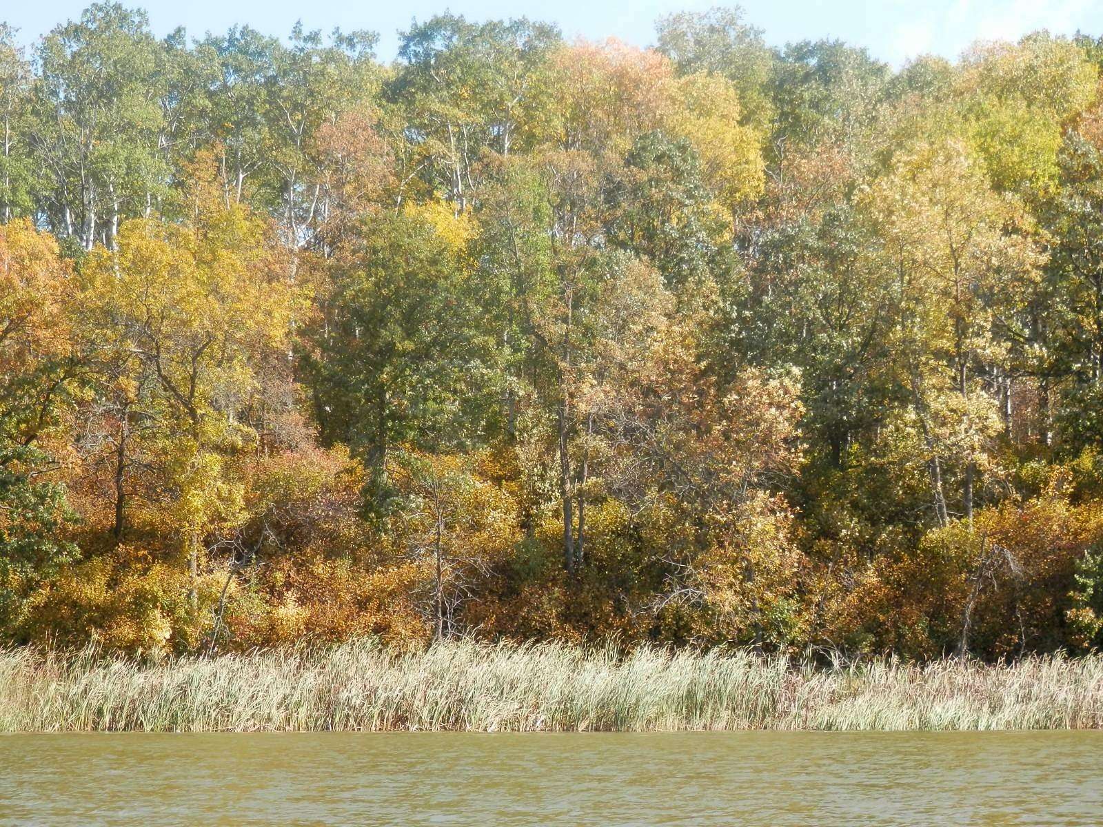 1.5 Acres of Land for Sale in Dunseith, North Dakota