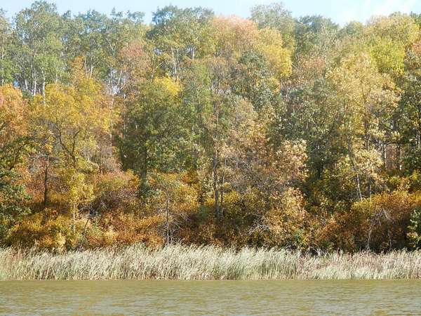 1.5 Acres of Land for Sale in Dunseith, North Dakota