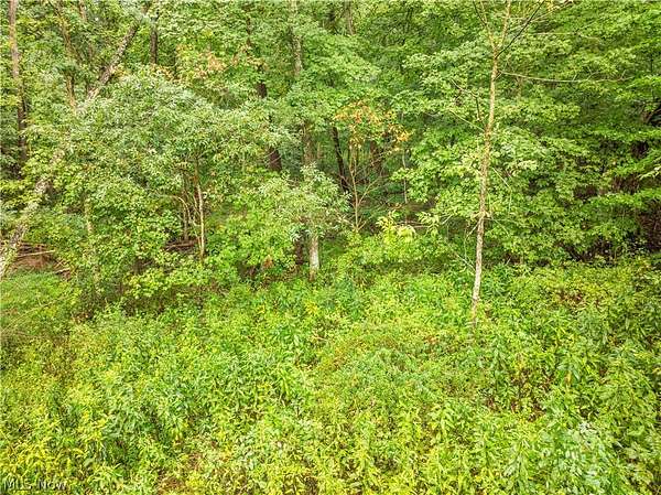 7.42 Acres of Land for Sale in Dresden, Ohio