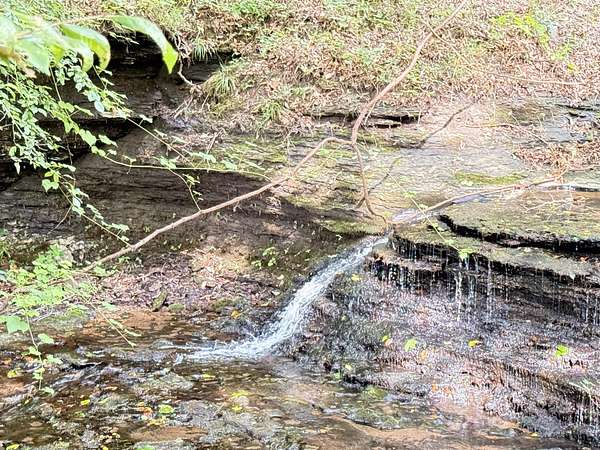 100 Acres of Recreational & Residential Land for Sale in Waynesboro, Tennessee