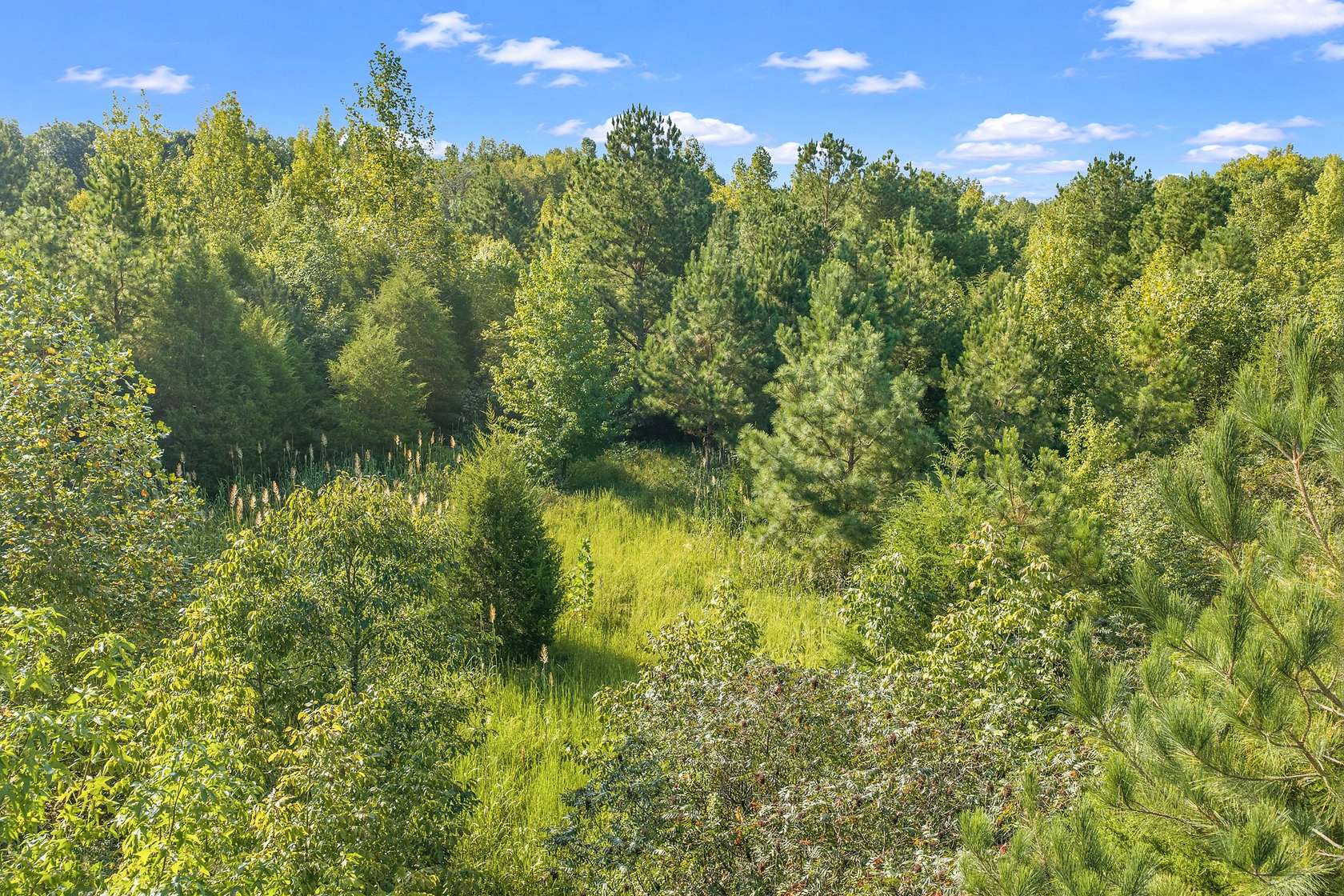 5.1 Acres of Residential Land for Sale in Parsons, Tennessee
