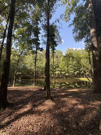 10 Acres of Residential Land for Sale in Beechgrove, Tennessee