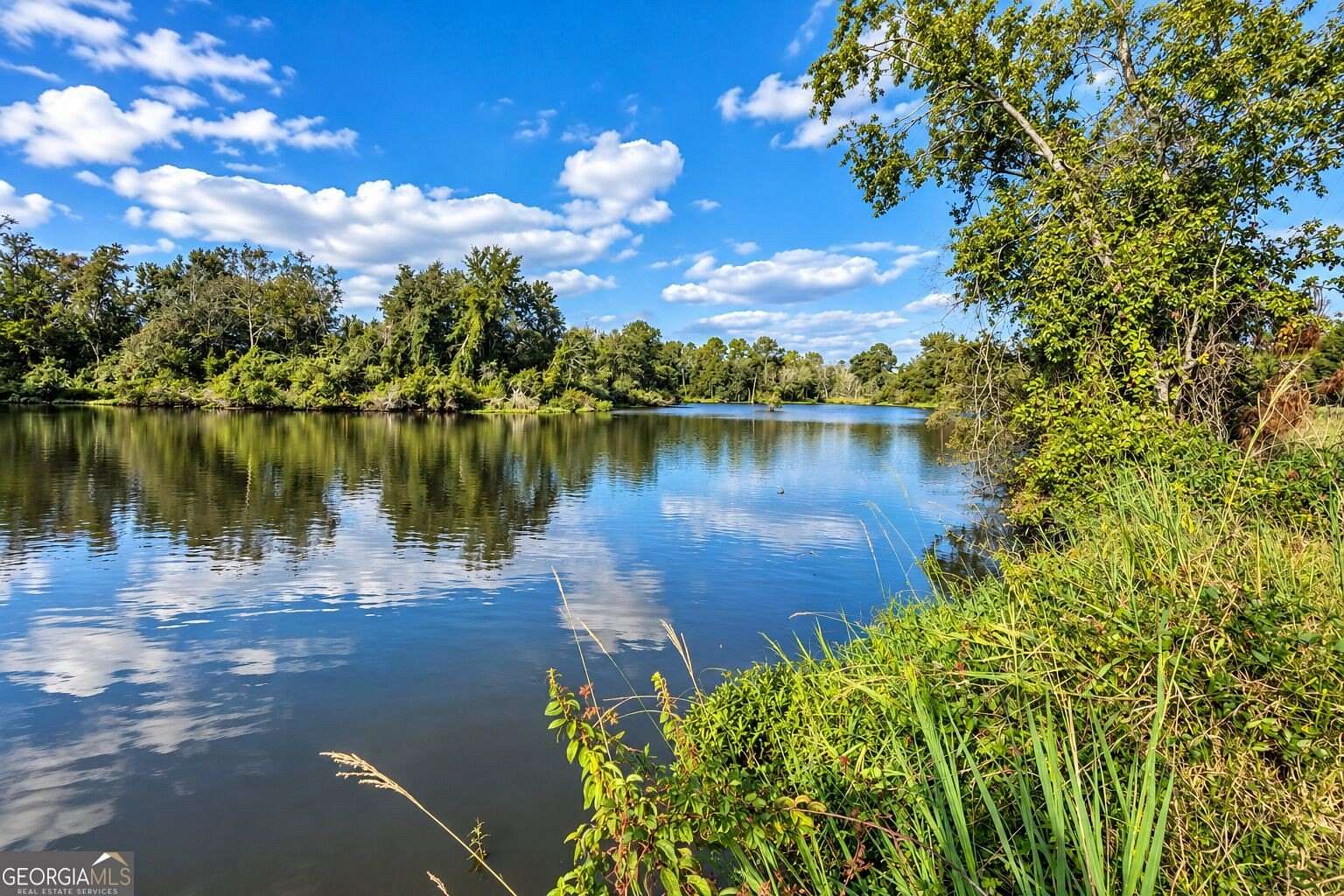 43.5 Acres of Land for Sale in Rochelle, Georgia