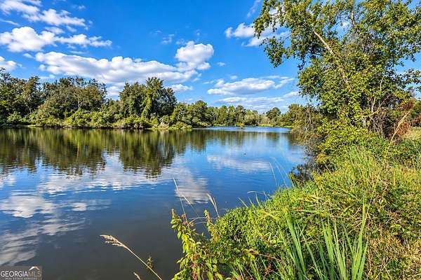 43.5 Acres of Land for Sale in Rochelle, Georgia