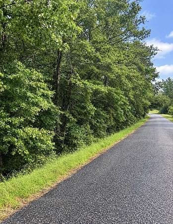 5.4 Acres of Residential Land for Sale in Pittsview, Alabama