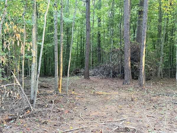 1.59 Acres of Residential Land for Sale in Monticello, Kentucky
