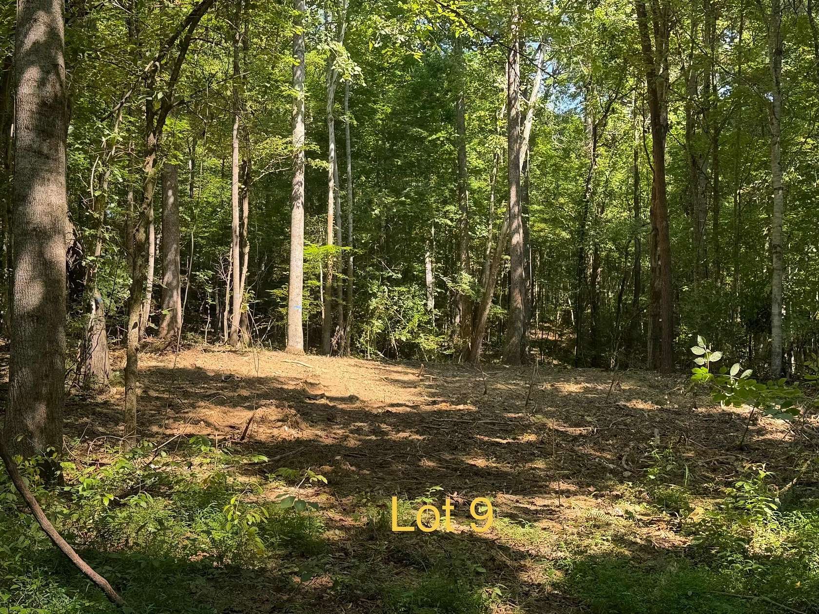 1.67 Acres of Residential Land for Sale in Monticello, Kentucky