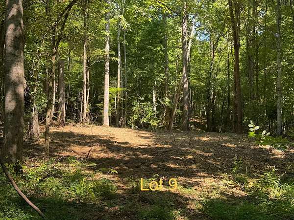 1.67 Acres of Residential Land for Sale in Monticello, Kentucky