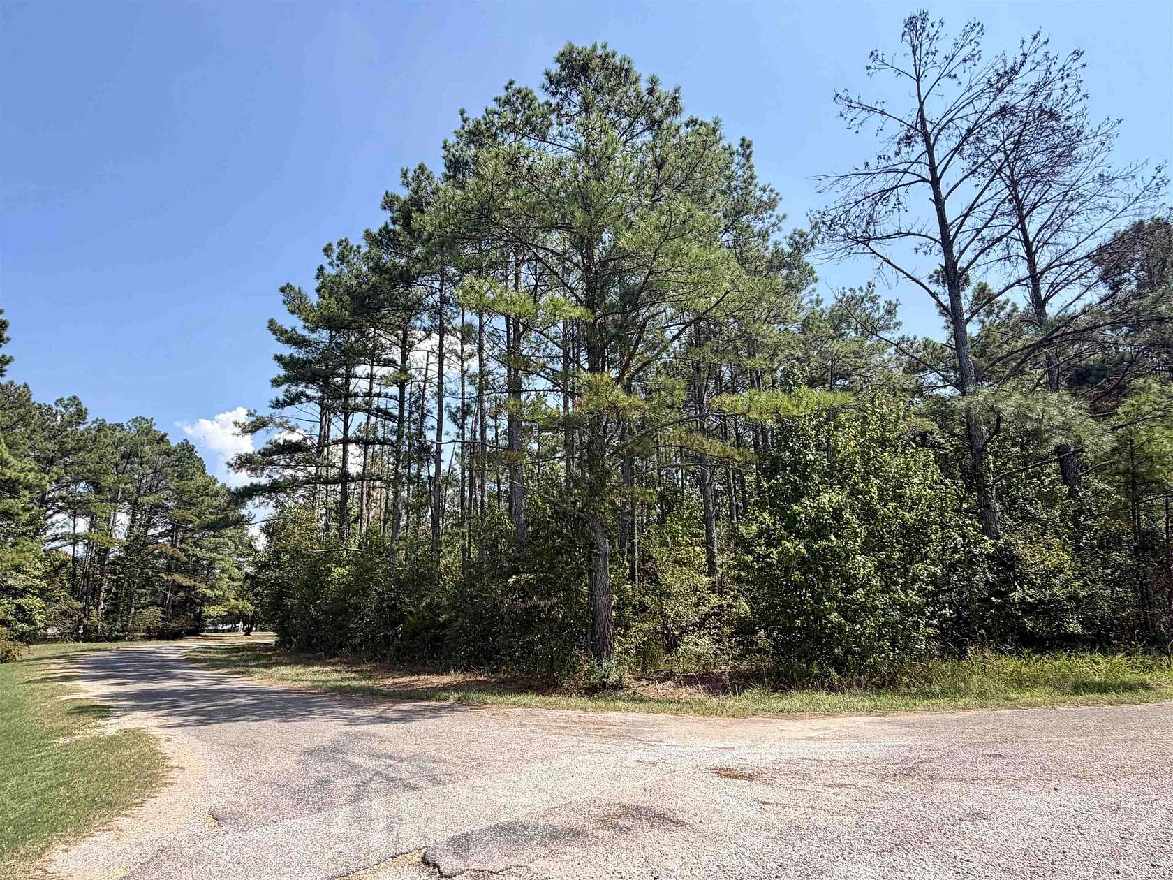 1 Acre of Land for Sale in Adamsville, Tennessee