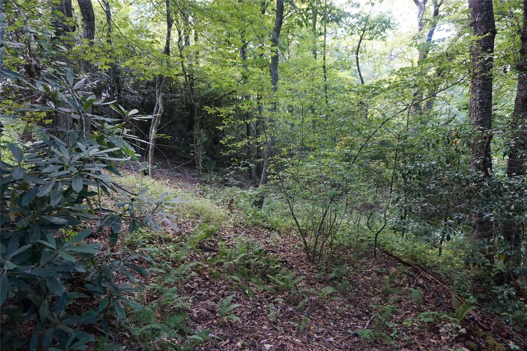 0.7 Acres of Residential Land for Sale in Highlands, North Carolina