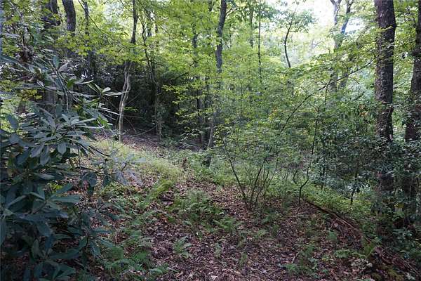 0.7 Acres of Residential Land for Sale in Highlands, North Carolina