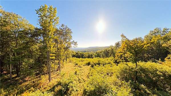 5 Acres of Residential Land for Sale in Horseheads, New York