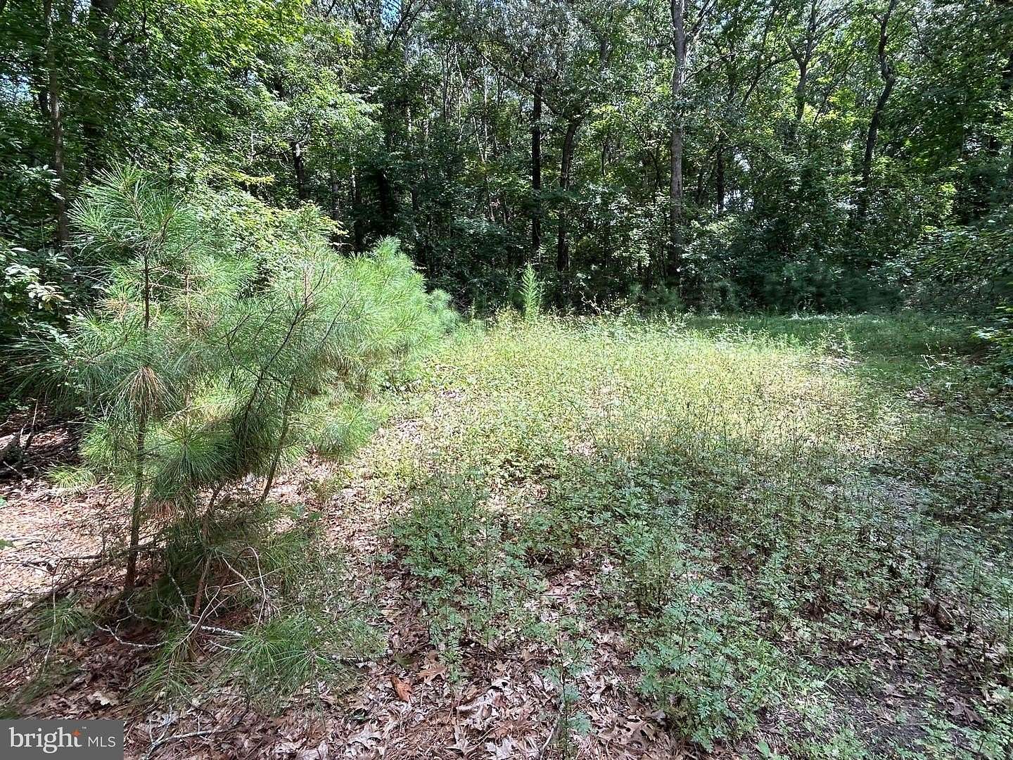 1.25 Acres of Residential Land for Sale in Frankford, Delaware