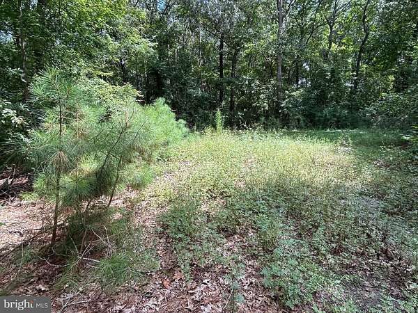 1.25 Acres of Residential Land for Sale in Frankford, Delaware