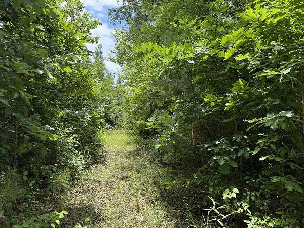 40 Acres of Recreational Land for Sale in Pine Bluff, Arkansas