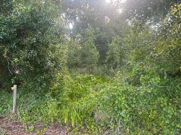 0.29 Acres of Residential Land for Sale in Okeechobee, Florida