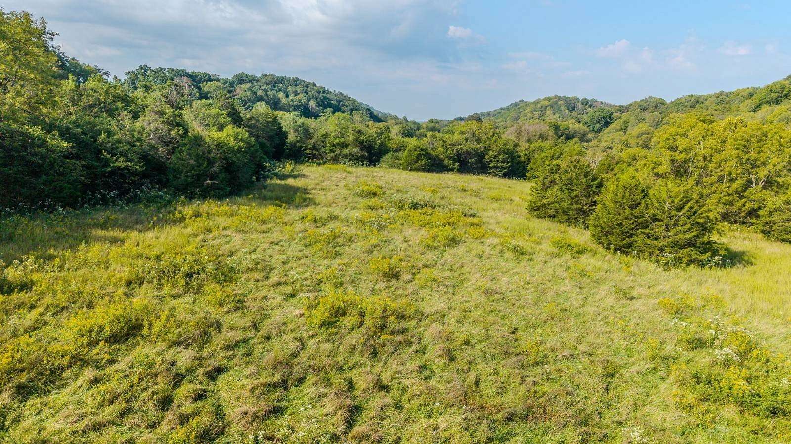 30 Acres of Agricultural Land for Sale in Dandridge, Tennessee