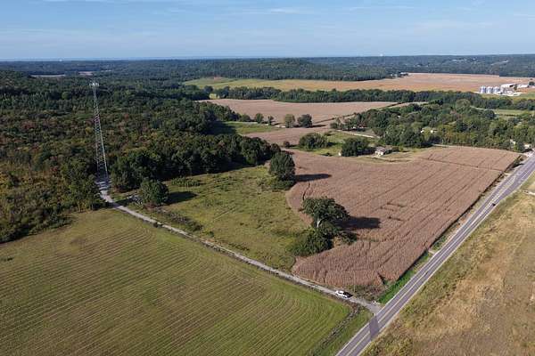 50 Acres of Land for Sale in Trinity, Alabama