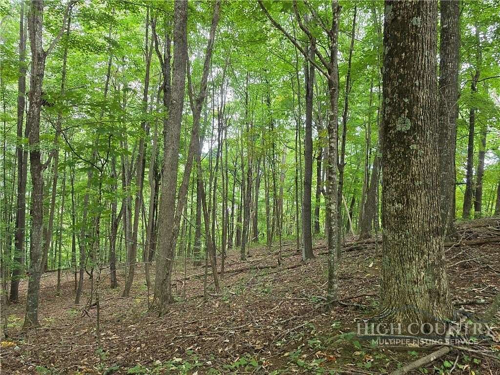 1 Acre of Residential Land for Sale in West Jefferson, North Carolina