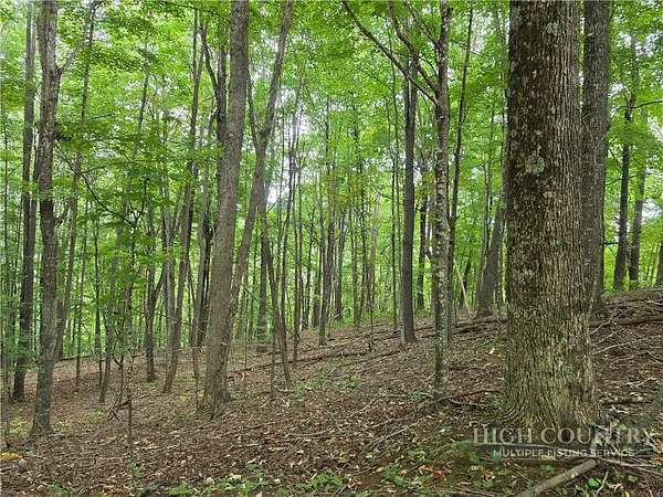 1 Acre of Residential Land for Sale in West Jefferson, North Carolina